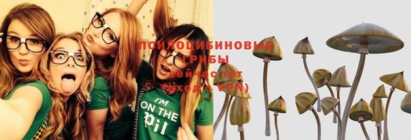 хмурый Мегион