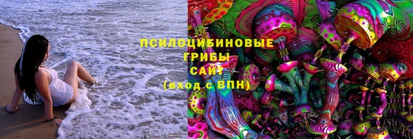бошки Медногорск