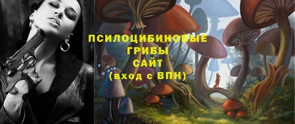 соль ск Абаза