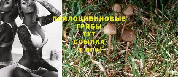 спайс Абдулино